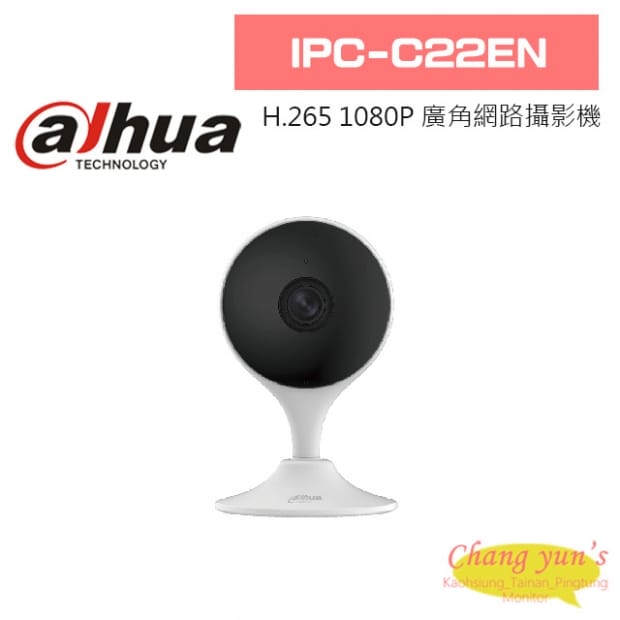 大華  IPC-C22EN H.265 1080P 超廣角 網路攝影機