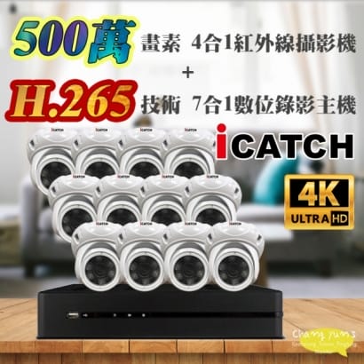 可取 套餐 H.265 16路主機 監視器主機+500萬400萬畫素 半球型紅外線攝影機*12