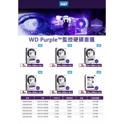 WD20PURZ WD 紫標 3.5吋 監控專用硬碟