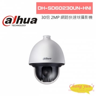 大華 DH-SD60230UN-HNI 30倍 2MP 網路快速球攝影機