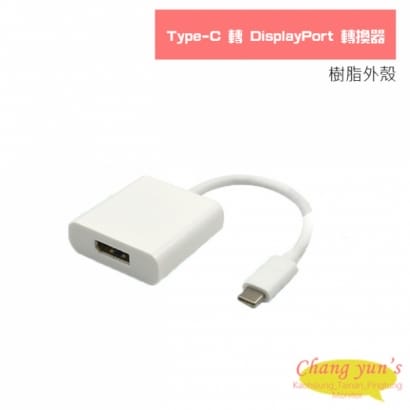 Type-C 轉 DisplayPort 轉換器