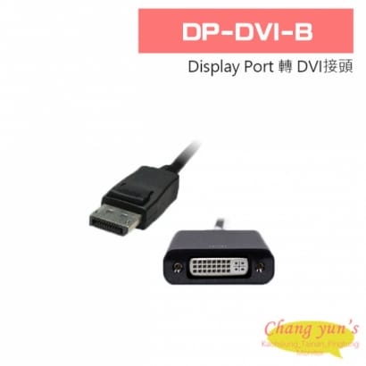 DP-DVI-B Display Port 轉 DVI接頭