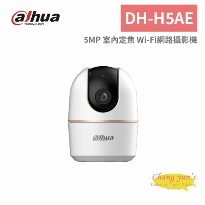 大華dahua DH-H5AE 5MP 室內定焦 Wi-Fi網路攝影機.jpg